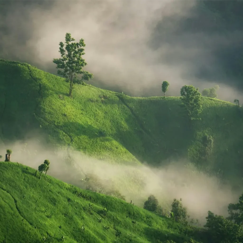 photography tour