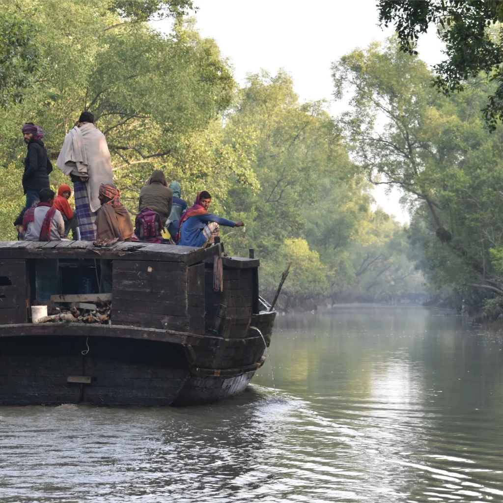 Sundarban Nature Tour