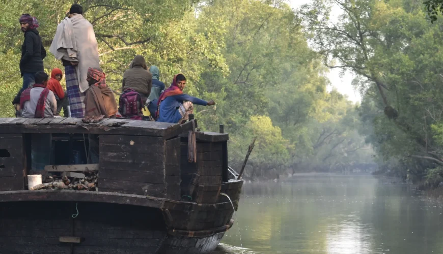 Sundarban Nature Tour