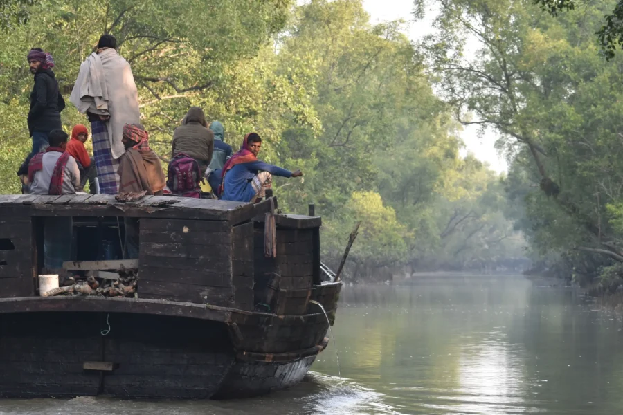Sundarban Nature Tour