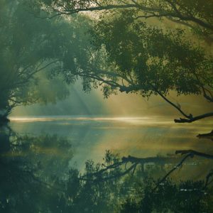 Sundarbans package from Dhaka