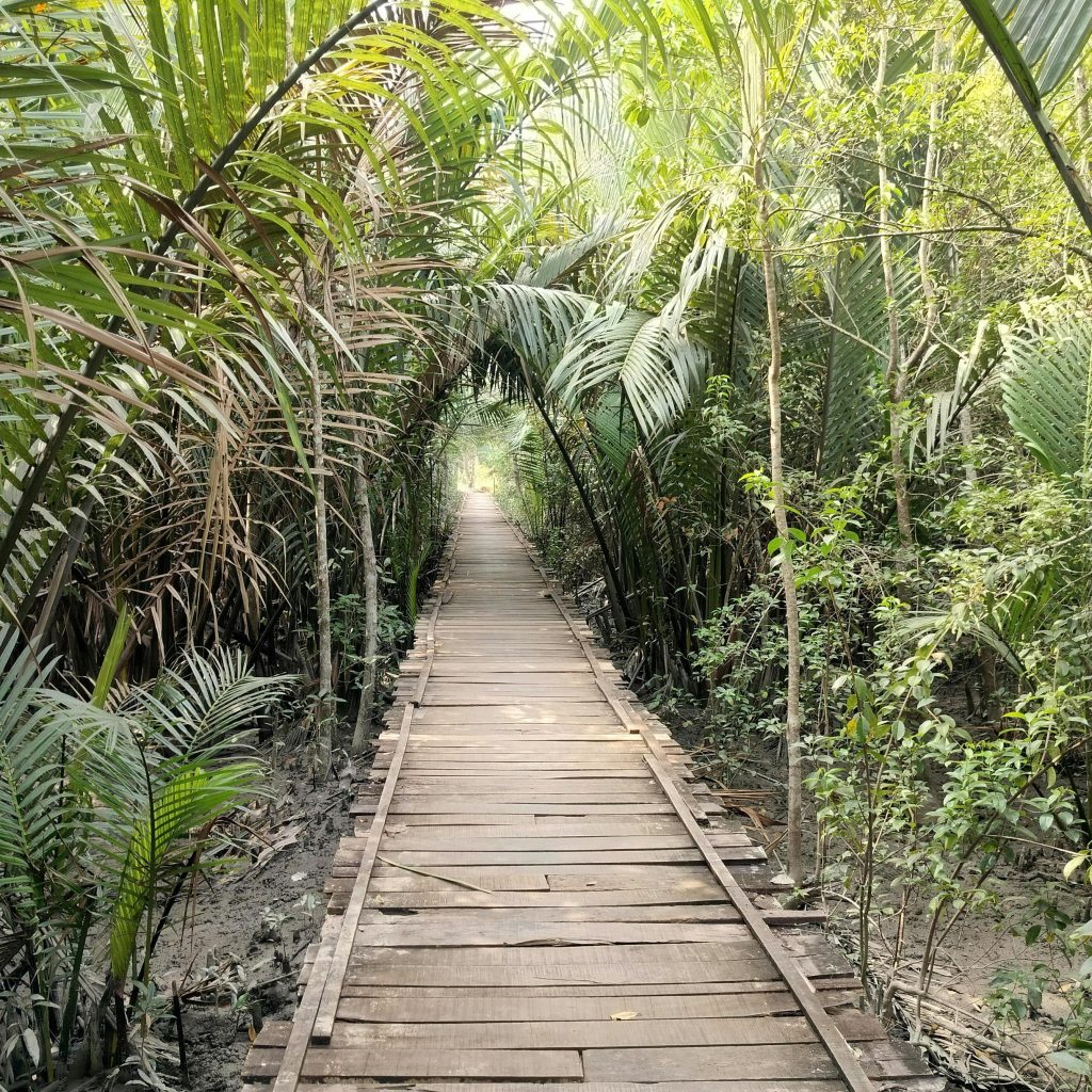 Tour Operator in Bangladesh