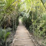 Tour Operator in Bangladesh