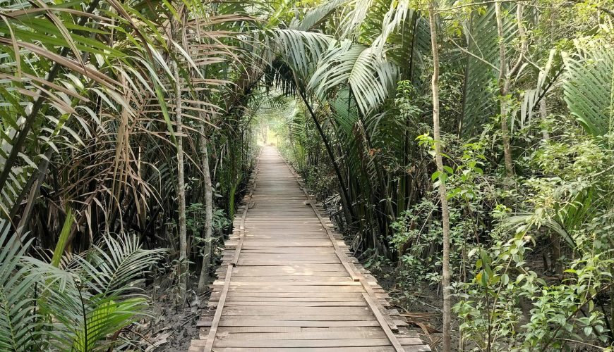 Tour Operator in Bangladesh