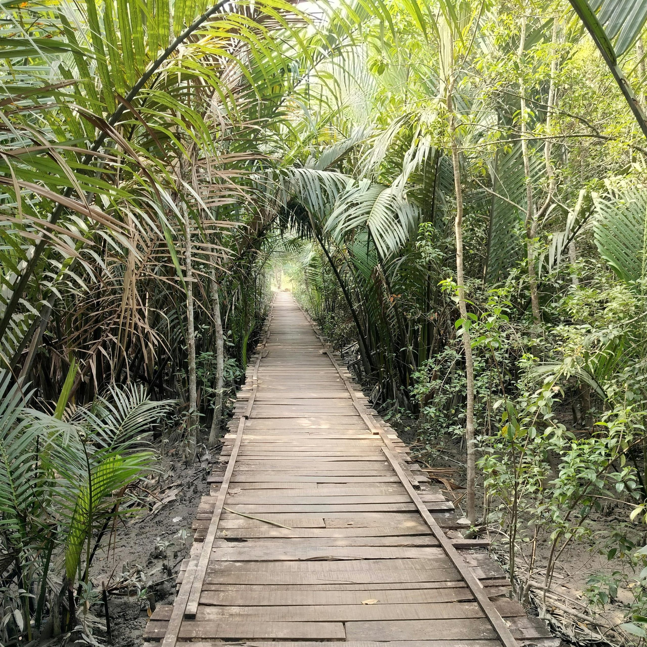Tour Operator in Bangladesh